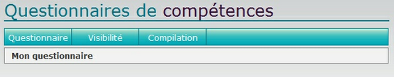 Onget - Questionnaire